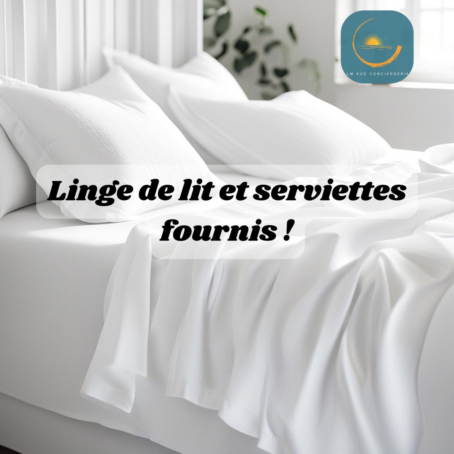 * F3 Haussmannien, Centre-Ville, 4 Pers, Wifi * Montpellier Extérieur photo