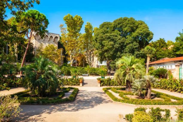 * F3 Haussmannien, Centre-Ville, 4 Pers, Wifi * Montpellier Extérieur photo
